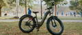 Aventon Aventure electric fat tire bike in park
