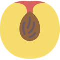 pêche