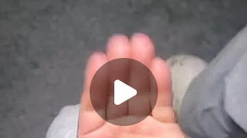 Main Content Image