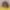 My Profile Picture