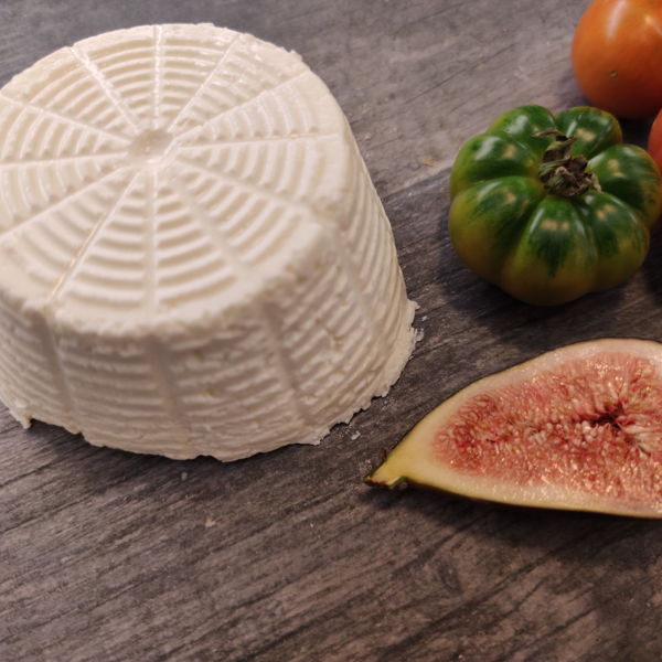 ricotta-de-vache