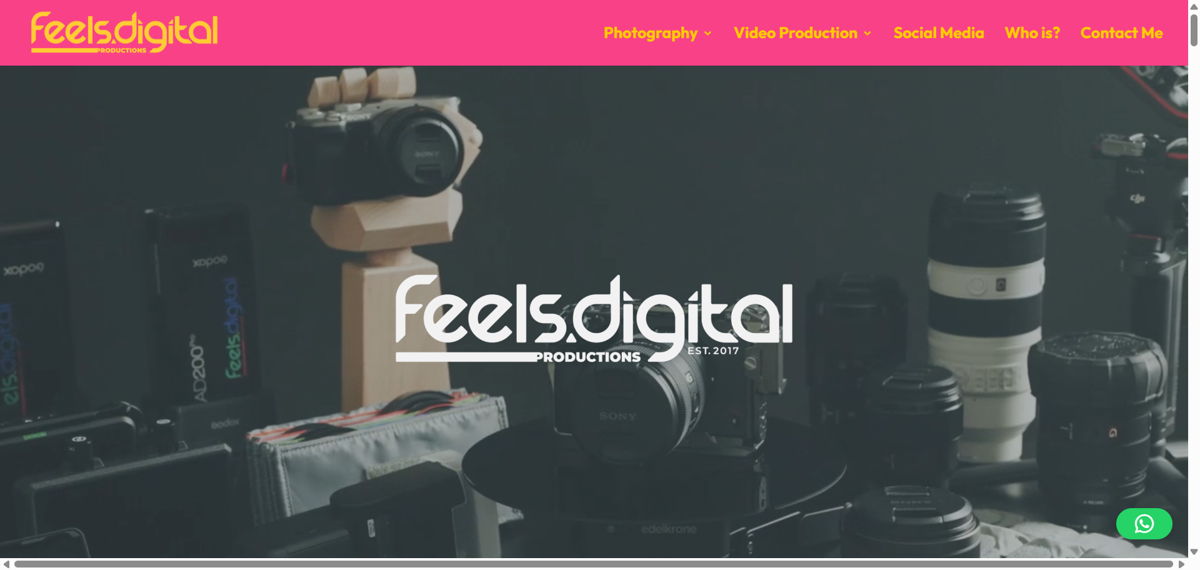 Screenshot of Feels Digital, from the filmmaker portfolios collection.