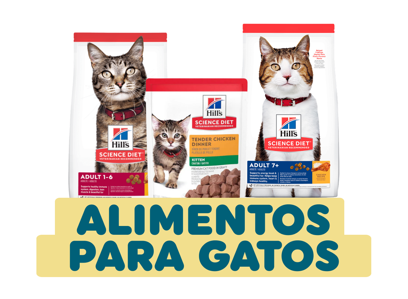 alimentos para mascotas