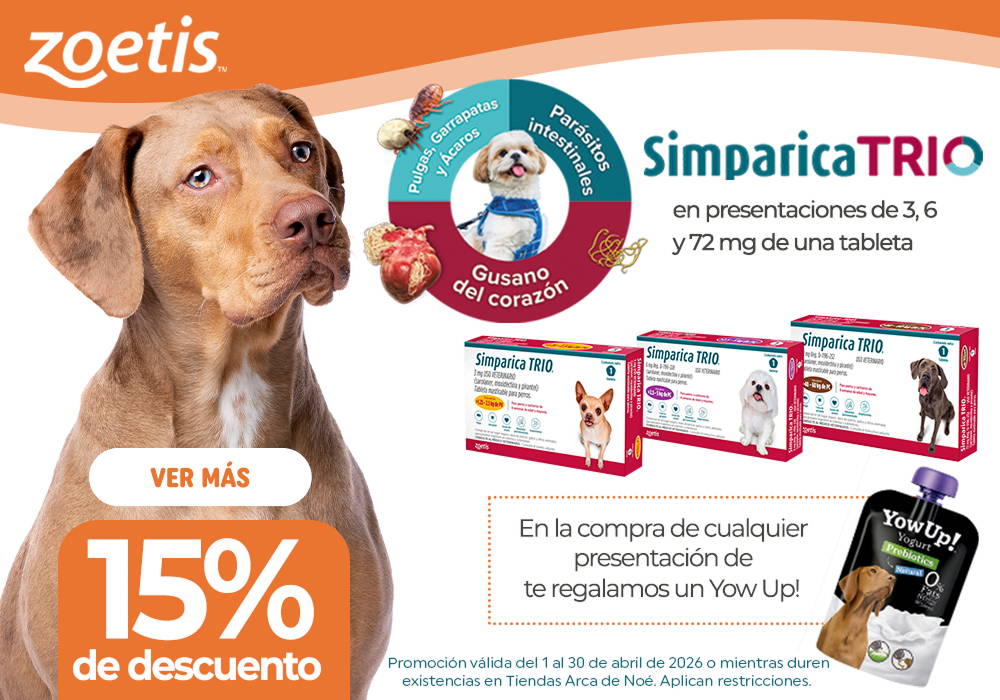 zignature - energía real para su día a día