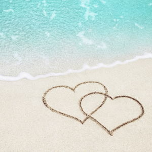 Honeymoon Fund