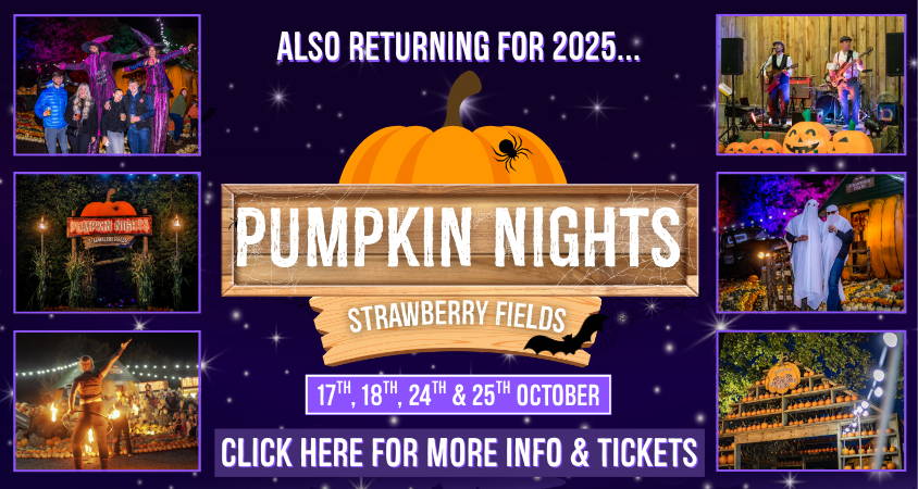 Discover the biggest and best pumpkin festival in Devon & Cornwall, and South West! Pumpkin Fest at Strawberry Fields is the ultimate family day out with a huge pumpkin patch, pumpkin picking, maize maze, barrel train rides, photo spots, tasty autumn treats & fun for all ages. Book now!
