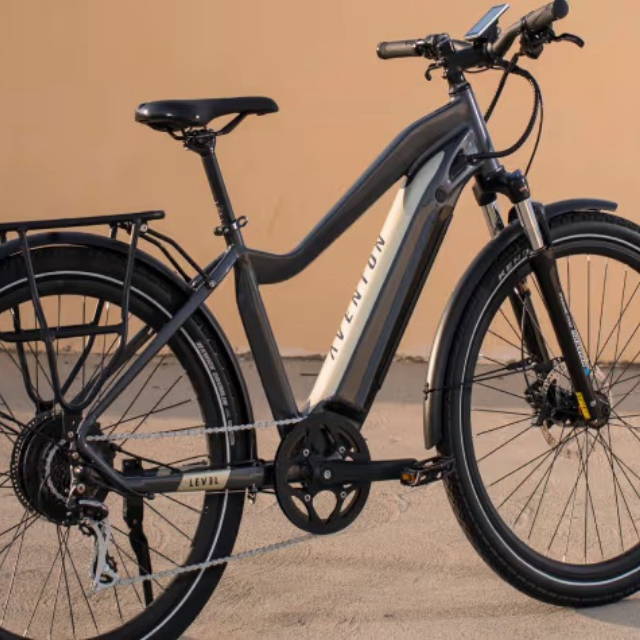 Focus on an electric bike