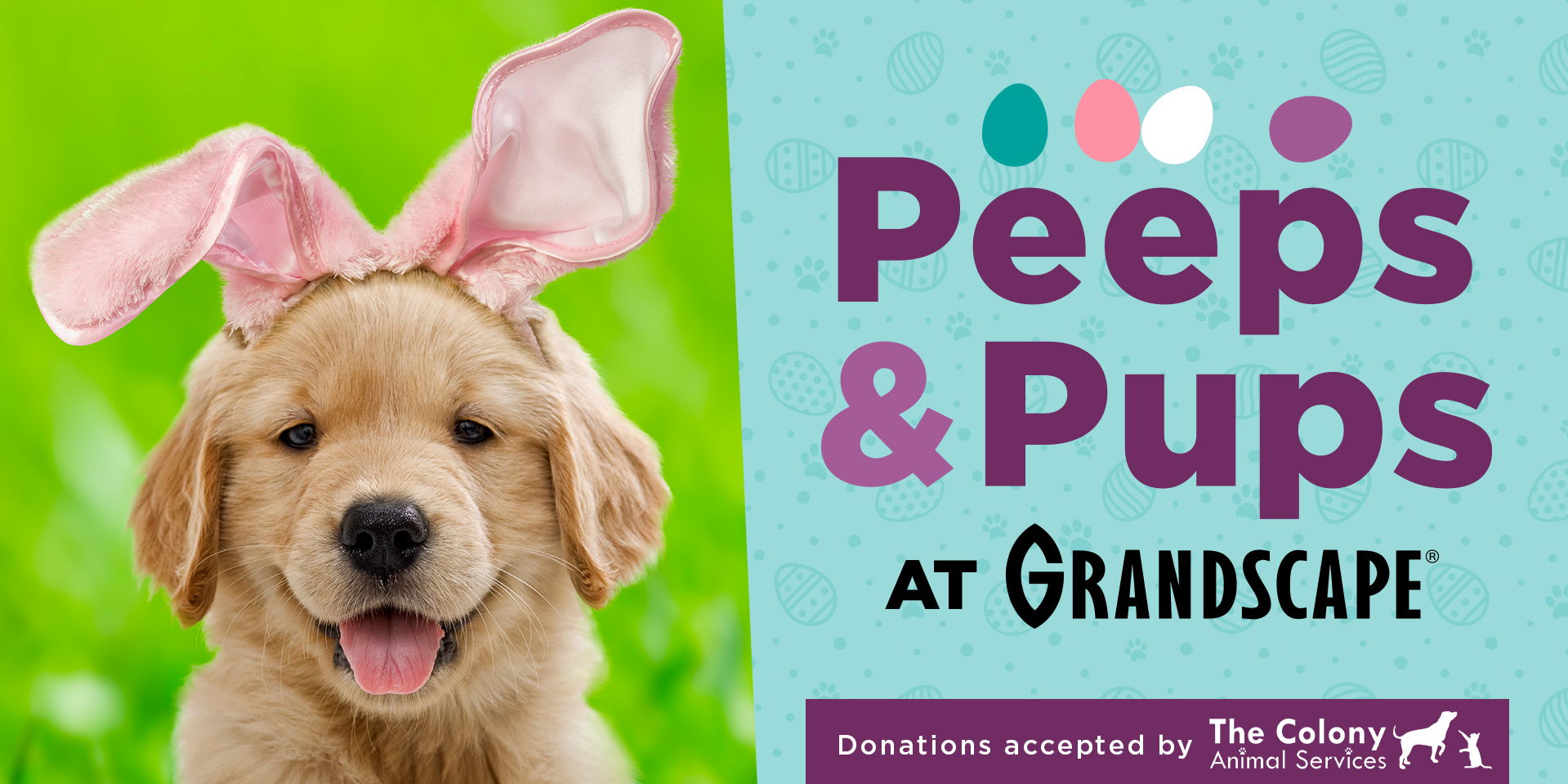 Peeps & Pups 🐶🌷🐰 promotional image