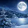 Wintermoon56 avatar
