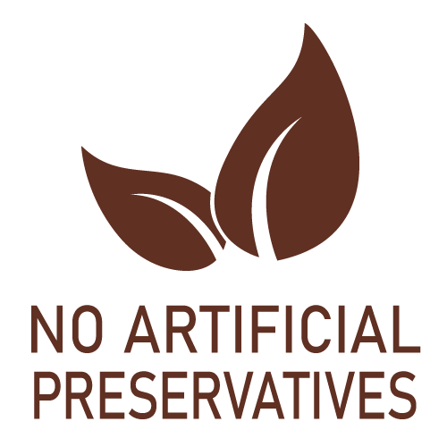 Icon-No_Artificial_Preservatives