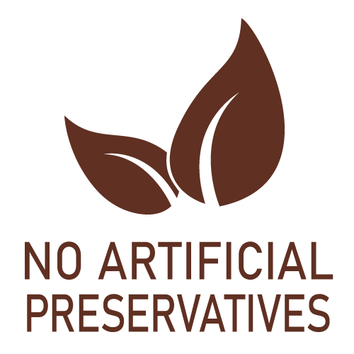 Icon-No_artificial_Preservatives