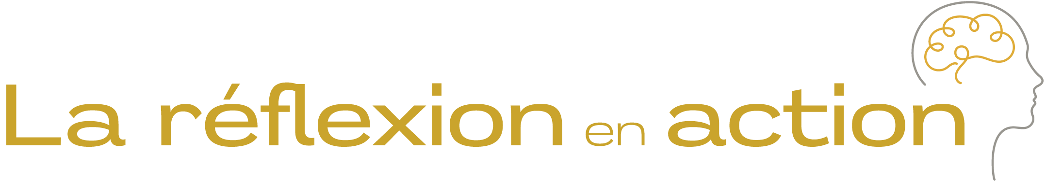 La réflexion en action