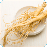 Ginseng