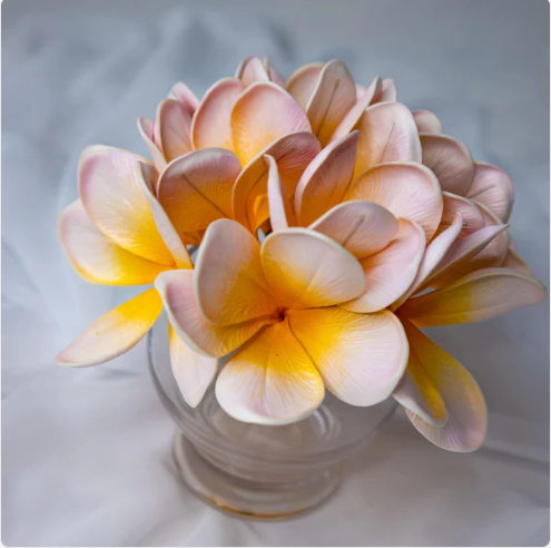 Pale Orchid Frangipani Flowerhead (6 Pack)- Realistic Artificial Flowers - Image 3
