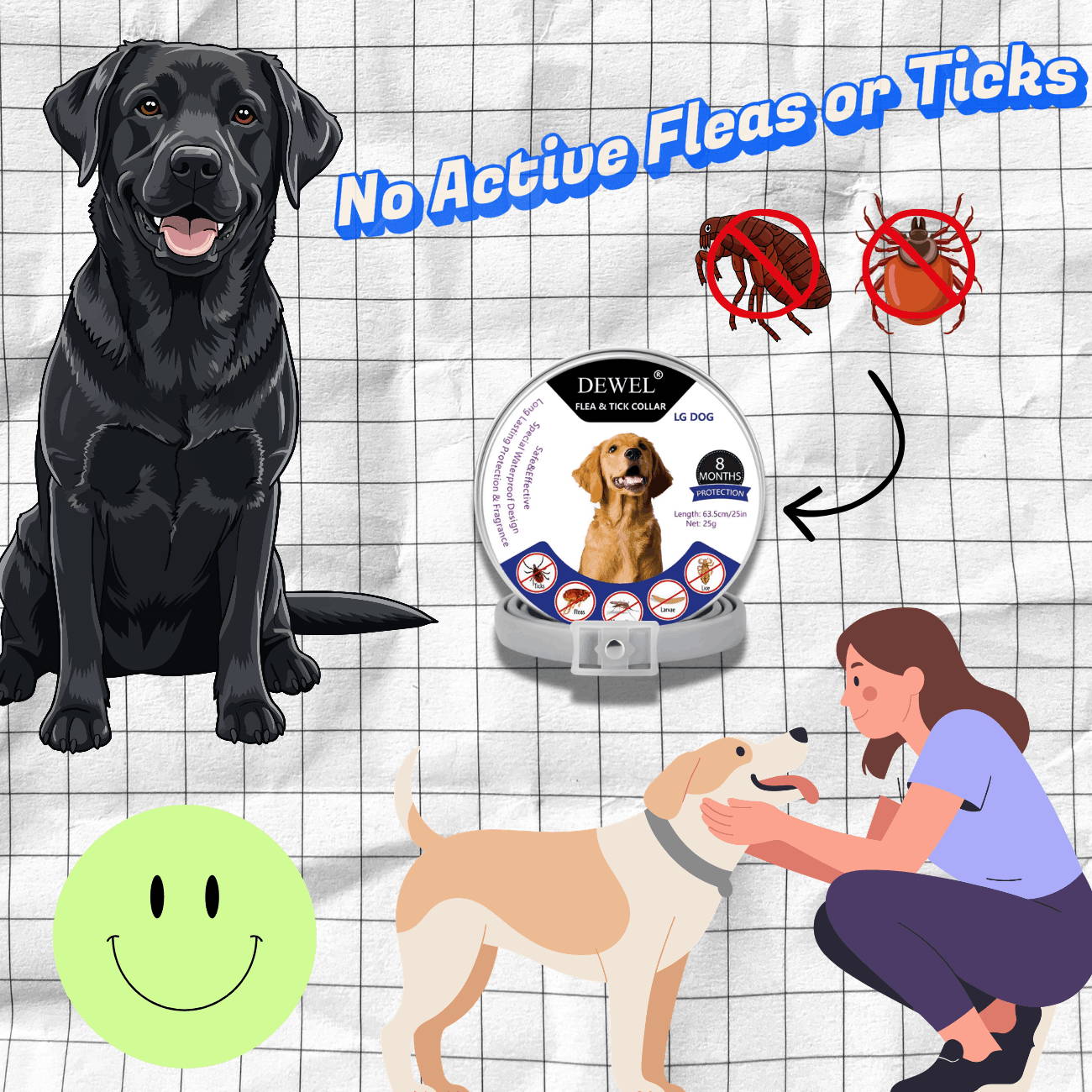 DEWEL™ 8‑Month Natural Flea & Tick Collar for Dogs (Safe for Puppies (8 Weeks+), Small, Medium & Large Dogs | Adjustable Fit for All Breeds) — Available at DEWELPRO.com