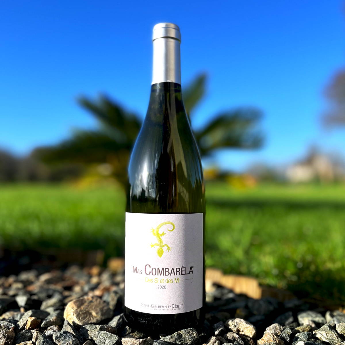 France, vin nature, rawwine, organic wine, vin bio, vin sans intrants, vin sans souffre, vin sans sulfites ajoutés, vin rouge, vin blanc, rouge, blanc, vin propre, vigneron, domaine bio, biodynamie, vigneron nature, vin biodynamique, raizin brut, Quimper, Finistère, Morbihan , mas combarela, domaine des celestes, vignoble jape-loup, maison cornut, château puech-redon, domaine obrière, ricardelle de lautrec, raizin brut 