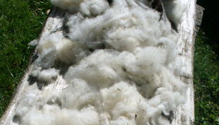 hofgut graue presse roh wolle