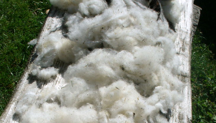 hofgut graue presse roh wolle