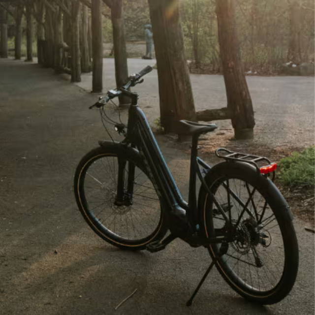electric bike