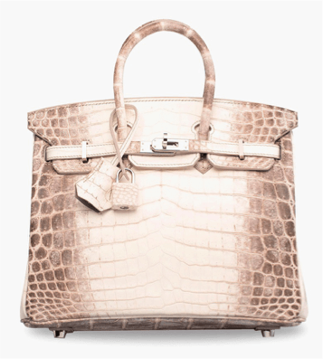 CROC TALK, The Rarest of Hermes Birkin