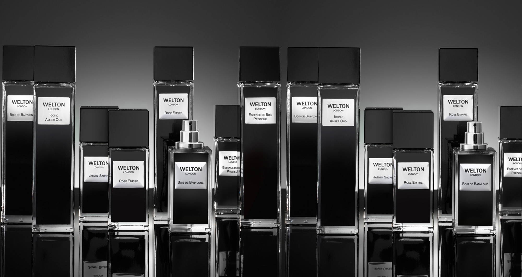 olfactory journey edp luxury elegant eau de parfum best black perfume unisex niche fragrance