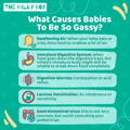 Graphic of causes of gas in babies | The Milky Box