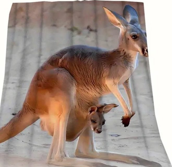 Discover the Magic of Australian-Themed Products - Image 4