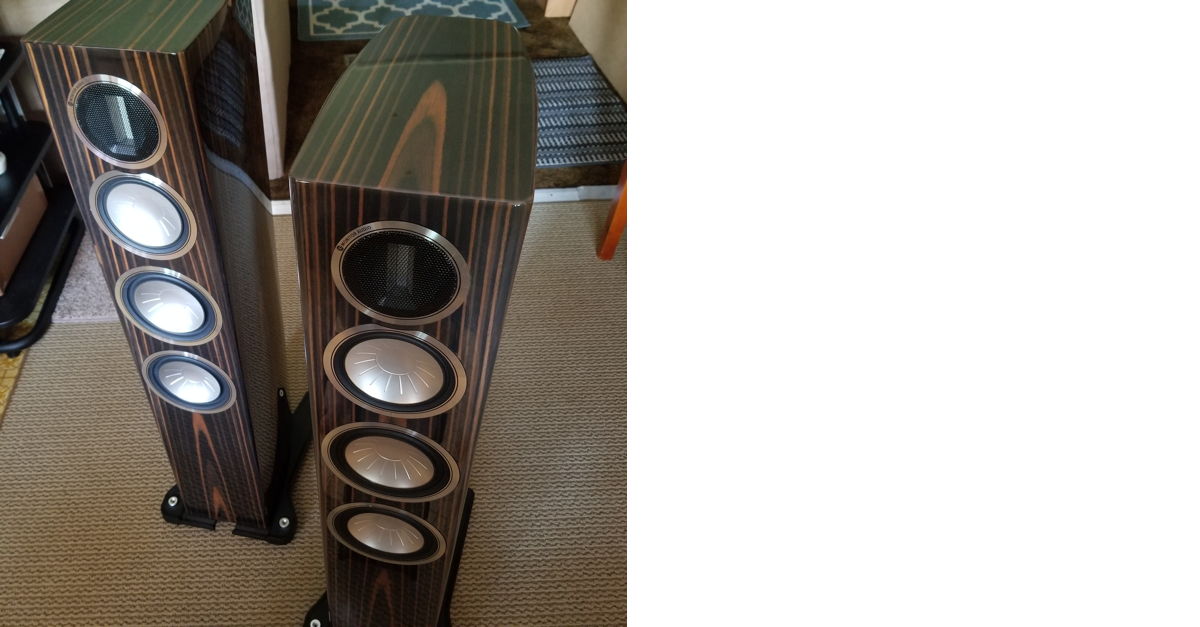 Monitor Audio Gold Reference10 : On Age Audio
