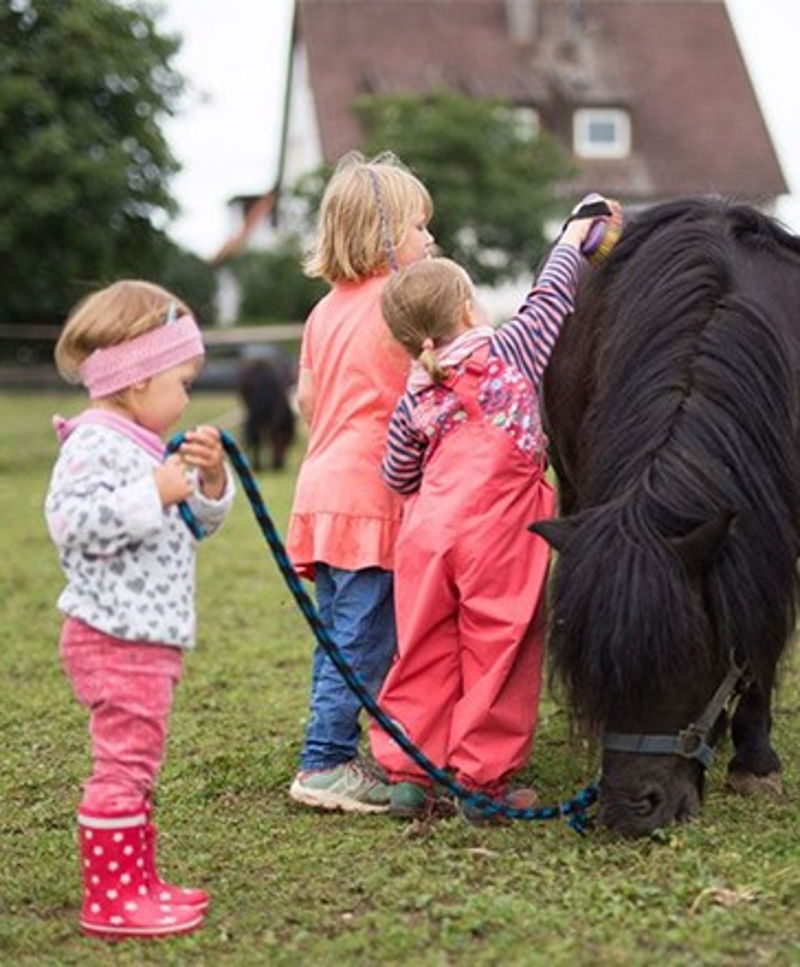 Drei kleine Mädchen in pinker Kleidung bürsten ein schwarzes Pony.Pony