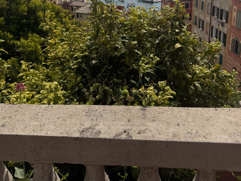 Tours œnogastronomiques Santa Margherita Ligure: Santa Margherita Food Tour : les saveurs de la Riviera italienne