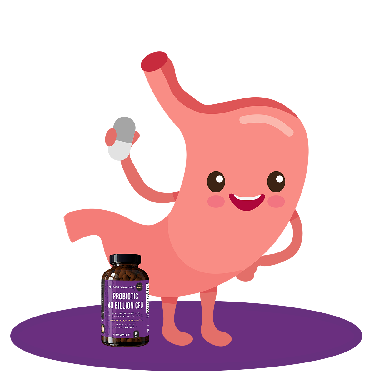 the stomach showing how the best probiotic supplement has two step acid protection