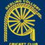 Gedling Colliery Cricket Club logo