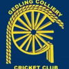Gedling Colliery Cricket Club Logo