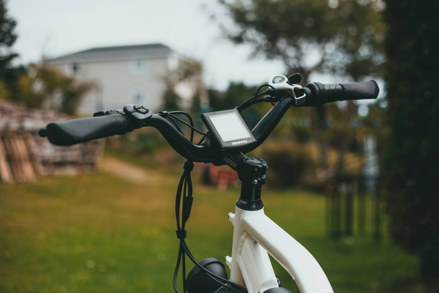 mountain bike elettrica