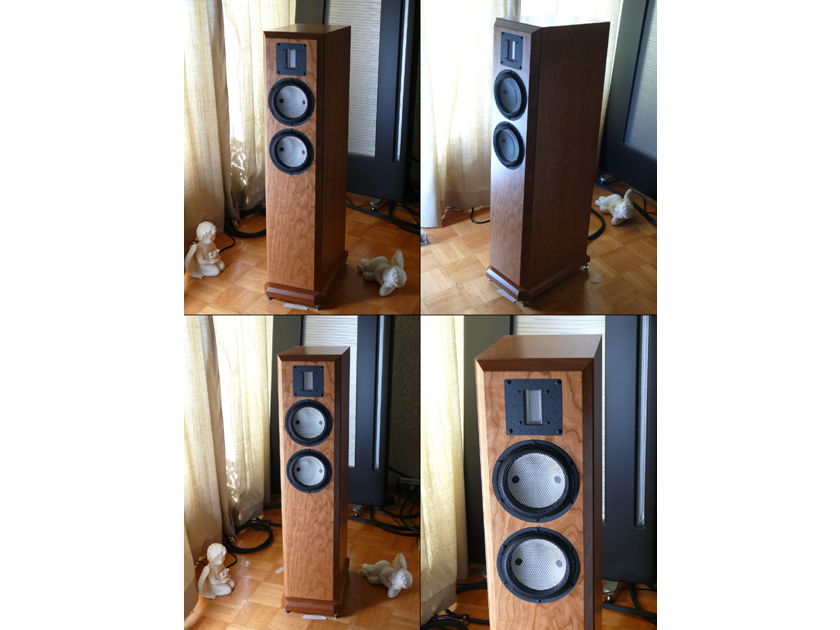 Clearwave speakers Symphonia 72R   New 6 Moons Review!   Accuton/raal heaven!
