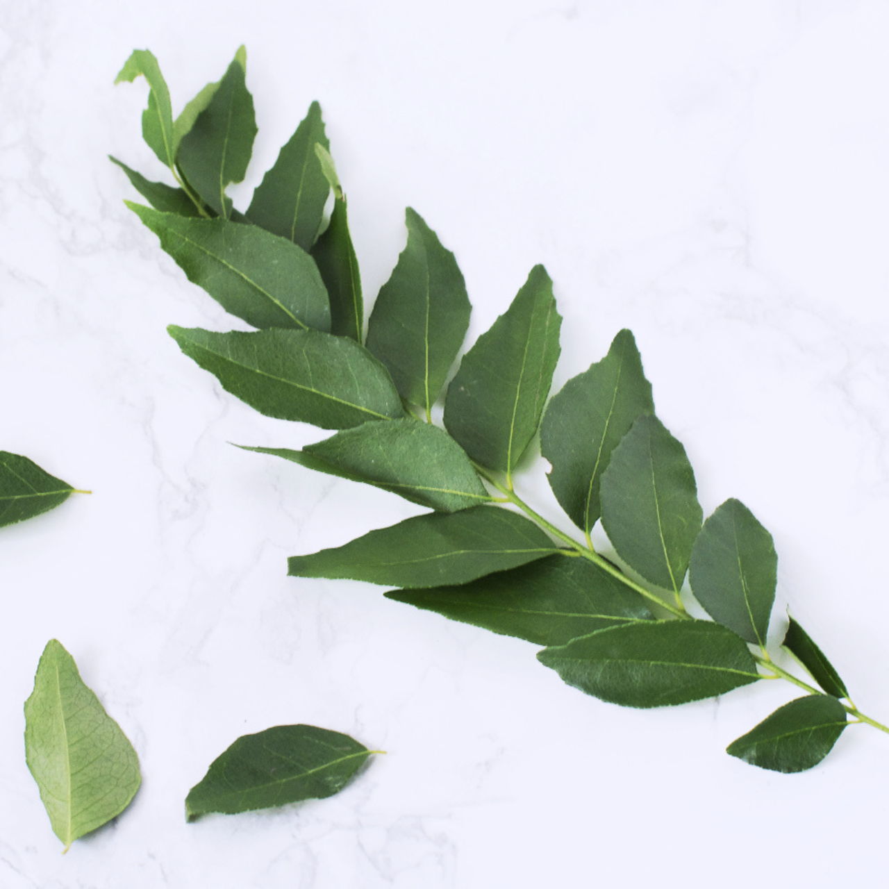 Curry leaves top