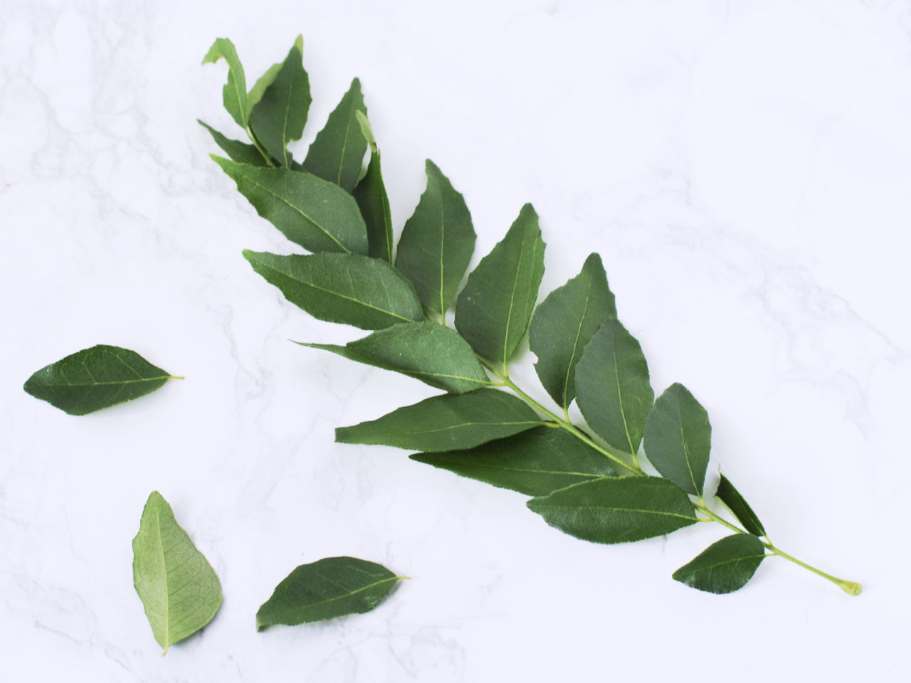 Curry Leaves Stalk S Southeast Asian Ingredients Nyonya Cooking