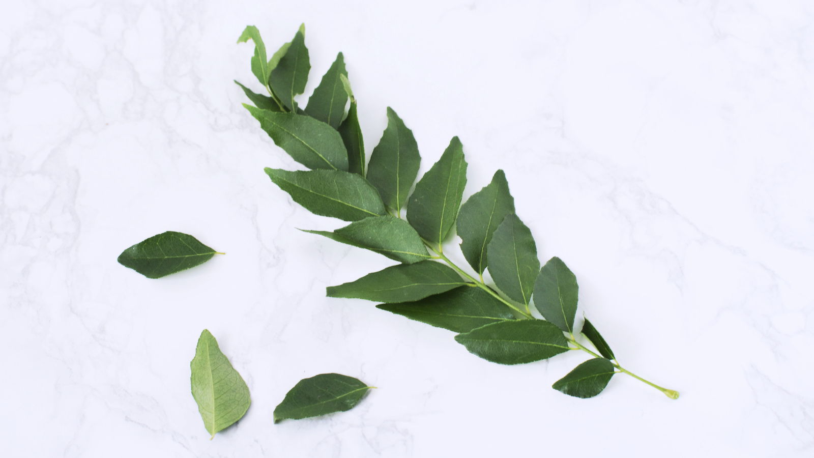 Curry Leaves Stalk(s)