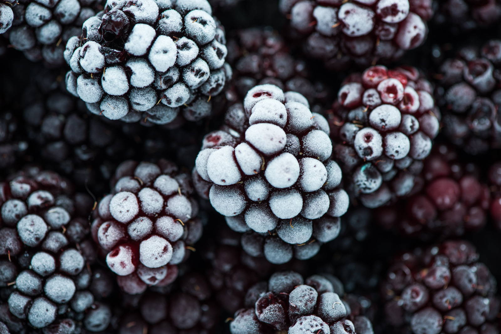 frozen blackberries