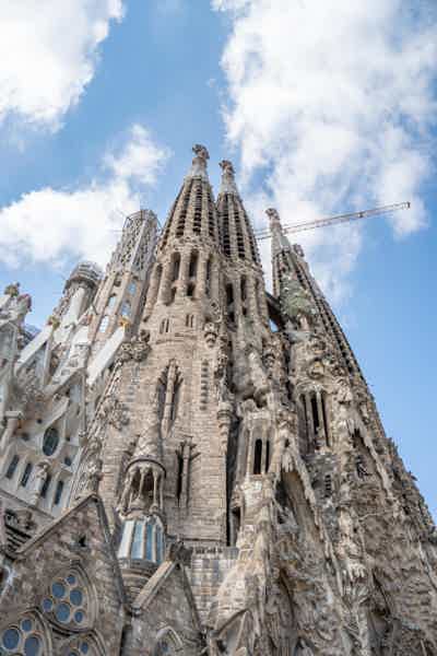 Sagrada Familia & Park Güell: Private Guided Tour - photo 6