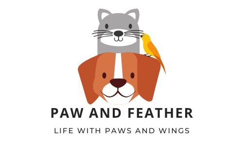 Custom Logo
