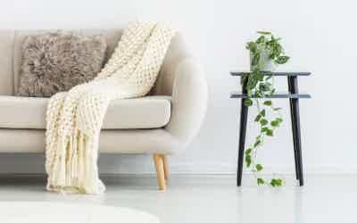 WHY DETOXIFICATION IS AT THE ROOT OF GOOD HEALTH