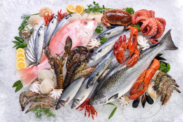 alternatives to shrimps for dogs