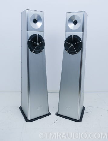YG Acoustics Carmel Speakers (9954)