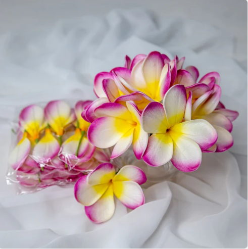 White Fuchsia Frangipani Flowerhead (6 Pack) - Realistic Artificial Flowers - Image 6