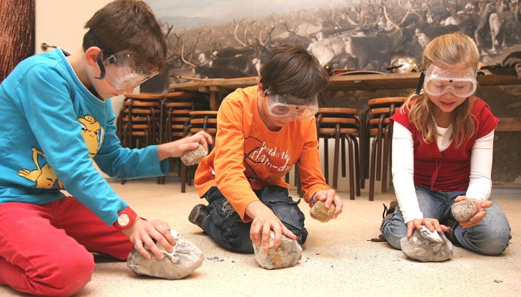 archäologisches museum hamburg zurück in die altsteinzeit