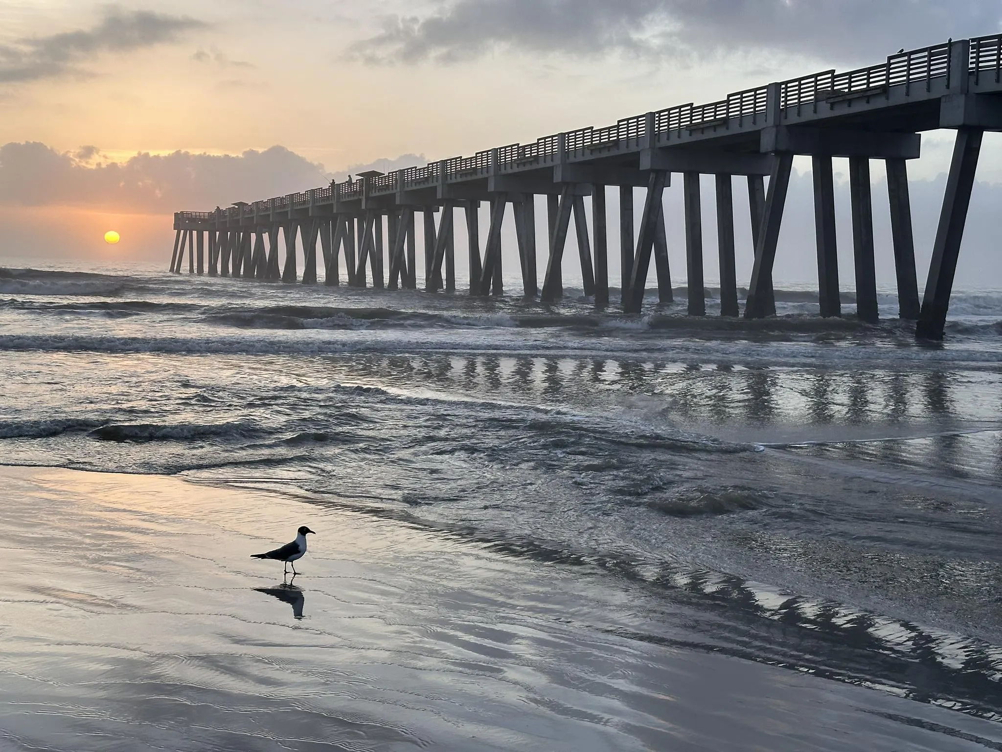 Best Trails and Outdoor Activities at the Jacksonville Beaches