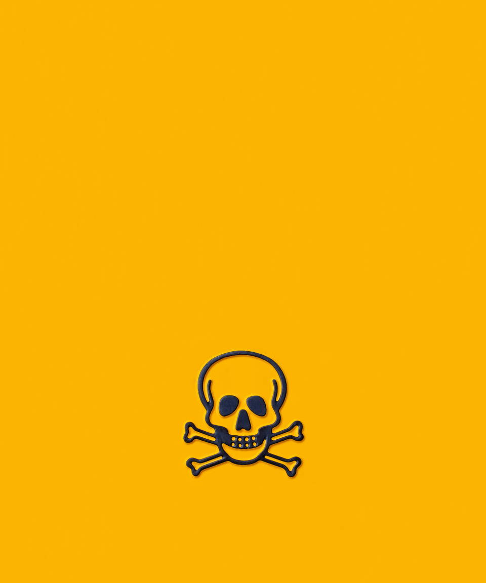 Black skull outline on yellow background (small)