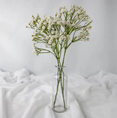 Baby's Breath (Gypsophila) - Realistic Artificial Flowers