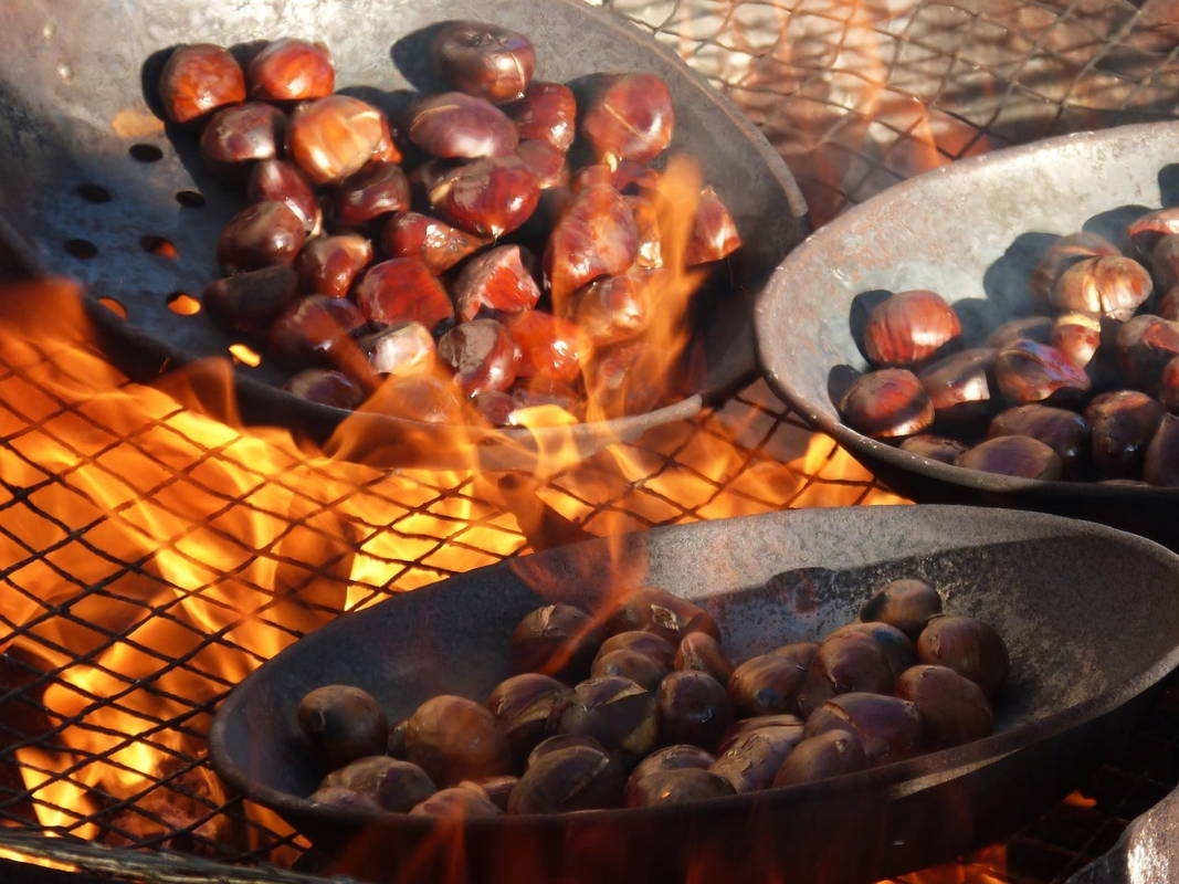 châtaignes grillées au feu pour la brisolée